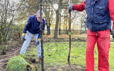 Jouw omgeving groener maken