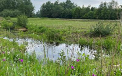 Th. Miggiels nieuwe ontwikkelaar Parc Zaarderheiken