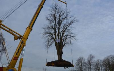 Ontwikkelbedrijf winnaar Boomproject van het jaar 2018!