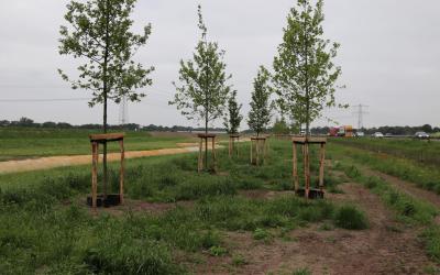 Aandacht voor water en groen