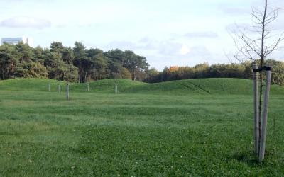 Executieverkoop erfpachtrecht Parc Zaarderheiken